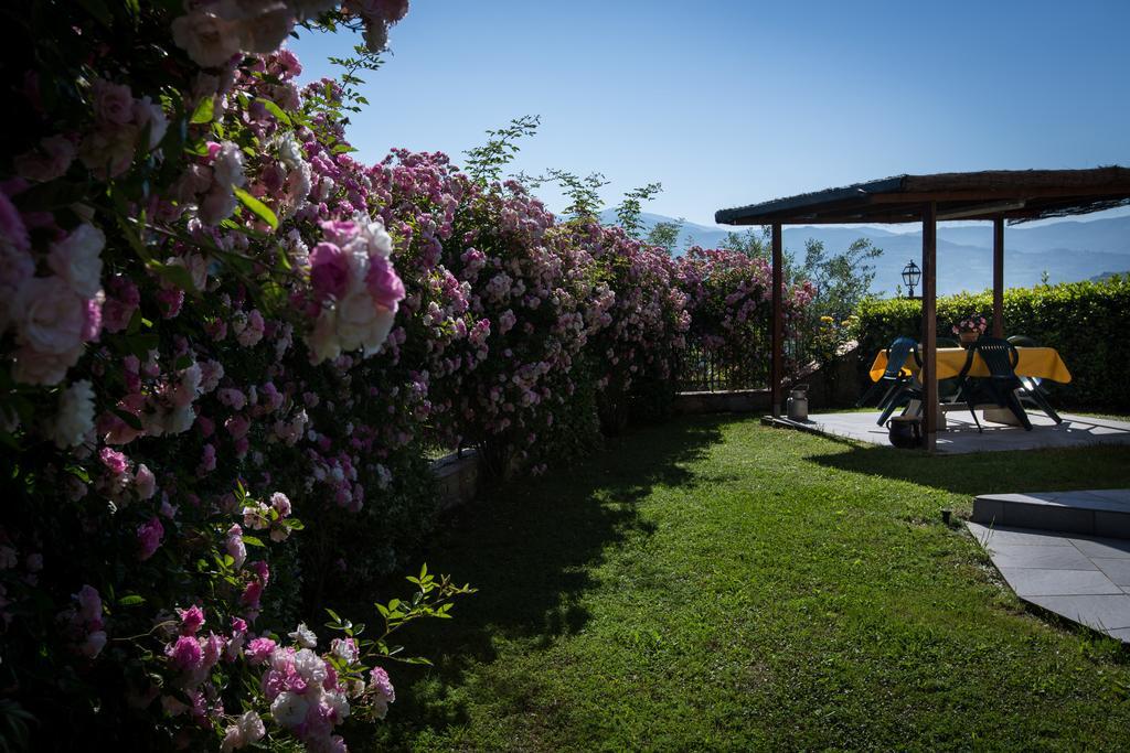 Vita Nova Casa Vacanze Affittacamere Vicchio Camera foto