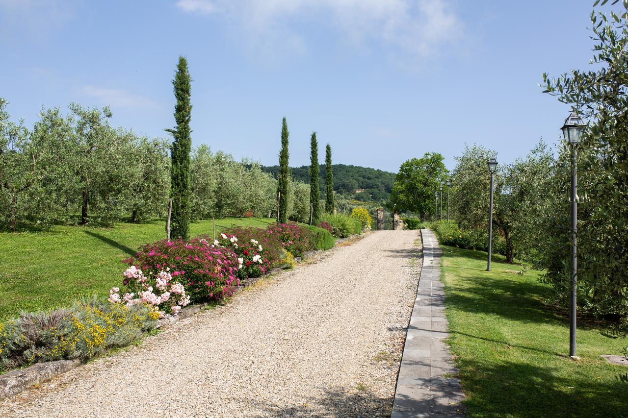 Vita Nova Casa Vacanze Affittacamere Vicchio Esterno foto